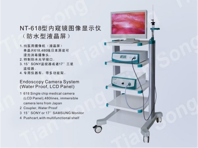 內窺鏡圖像顯示儀